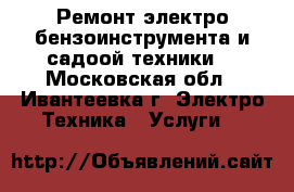 Ремонт электро-бензоинструмента и садоой техники. - Московская обл., Ивантеевка г. Электро-Техника » Услуги   